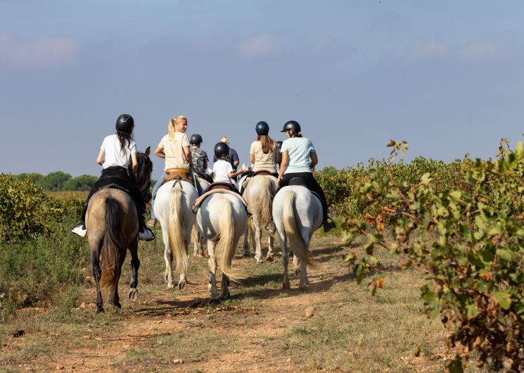 A cheval chez Théo_Beauvoisin