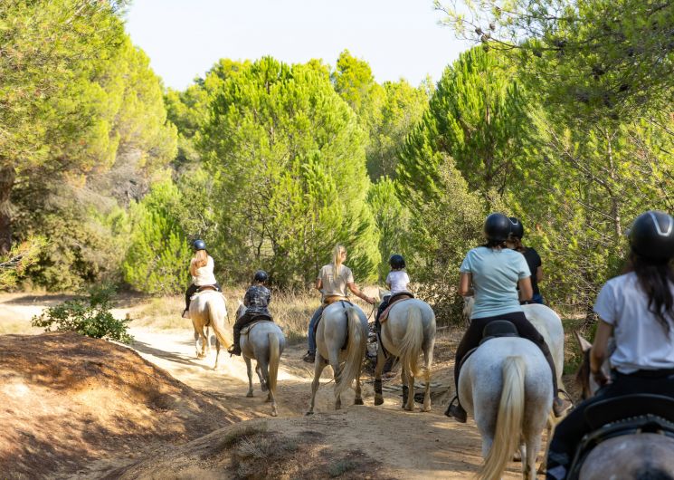 A cheval chez Théo_Beauvoisin