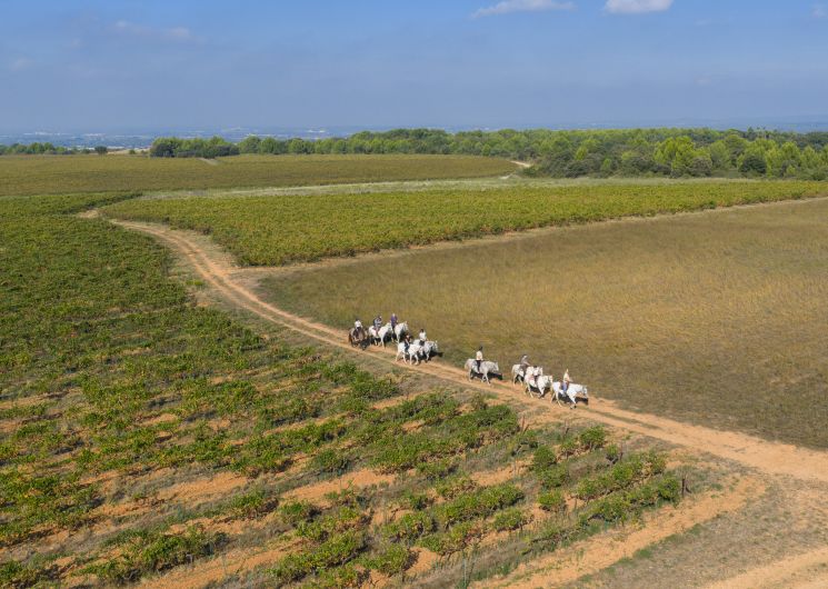A cheval chez Théo_Beauvoisin