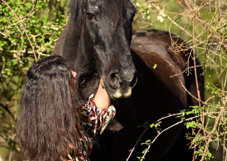 Pyren'EquiÂme_Bénaix