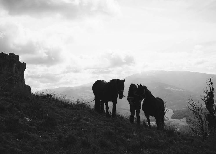 Pyren'EquiÂme_Bénaix