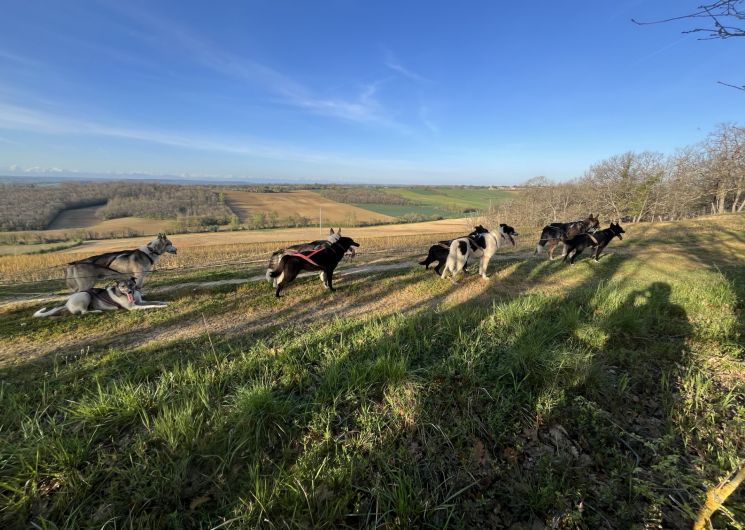 Attelage & Aventure_Labastide-Savès
