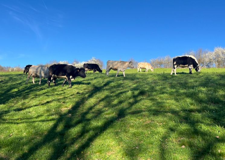 Gaec la Ferme de la Combe_Crespin