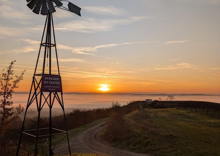 éolienne cabane_Levé de soleil-Mer de nuage.jpg