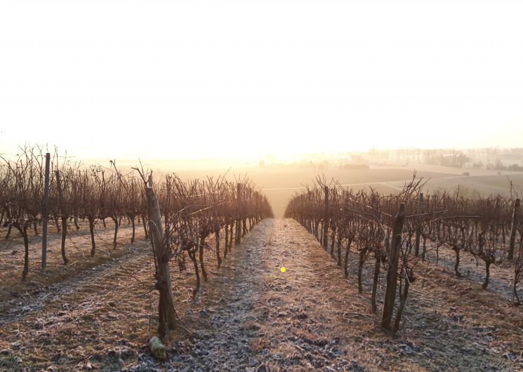 Domaine In Ventis 1