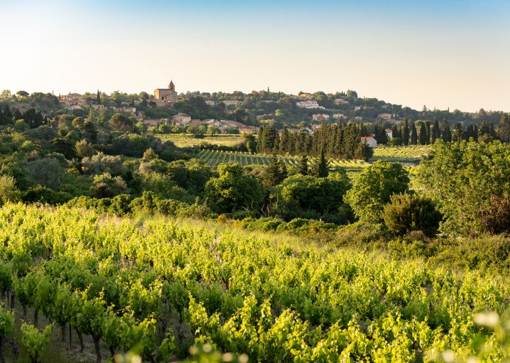 Domaine de la Lôyane_Rochefort-du-Gard