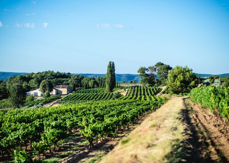 Domaine La Réméjeanne