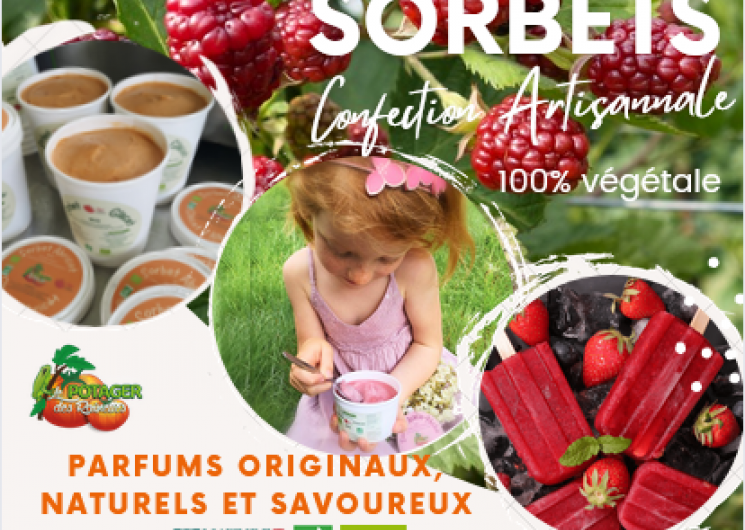 sorbets