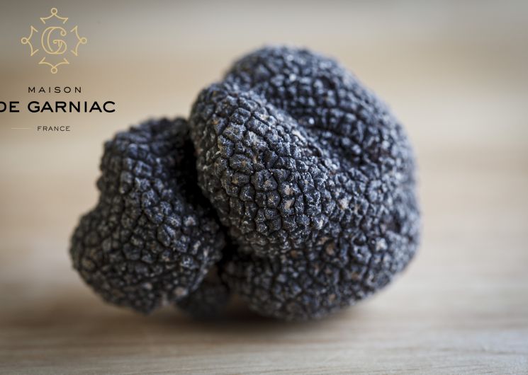 Maison de Garniac - Truffle producer