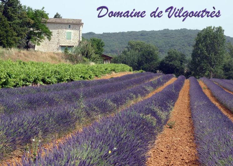 Domaine de Vilgoutrès