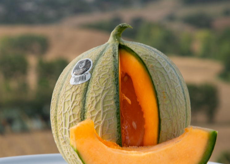 Melon le Bénac