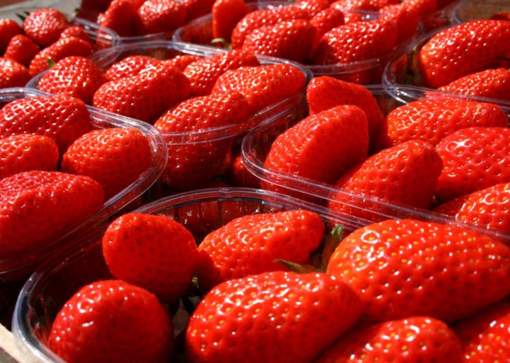 fraises