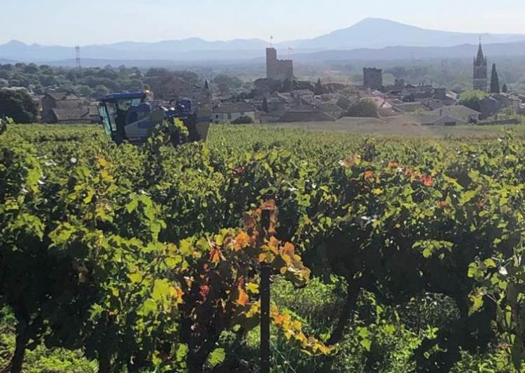 Domaine du Malignon_Laval-Saint-Roman