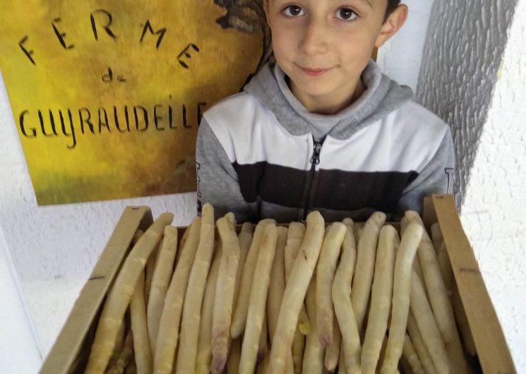 asperges fraichement cueillies