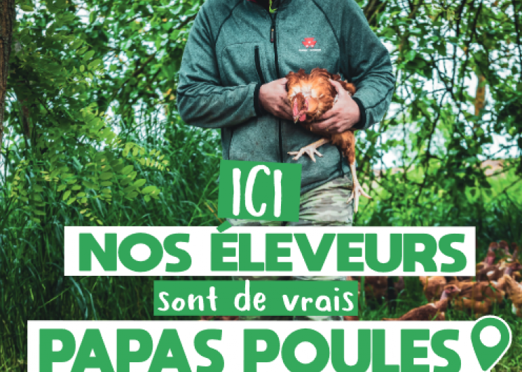 Poulets