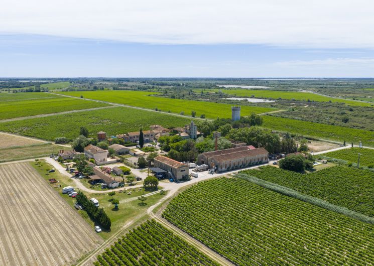 Domaine de Montcalm_Vauvert