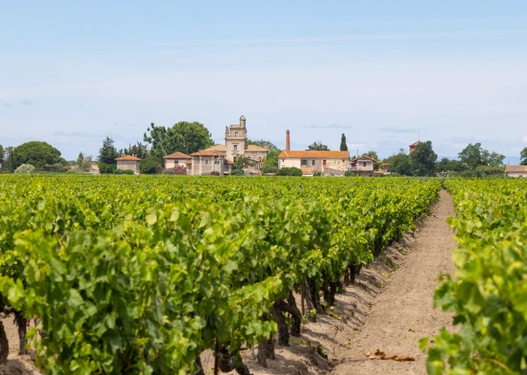 Domaine de Montcalm_Vauvert