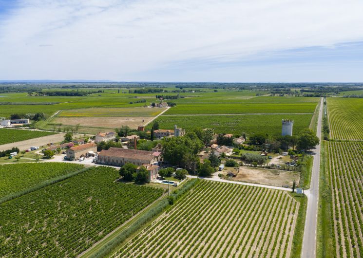 Domaine de Montcalm_Vauvert