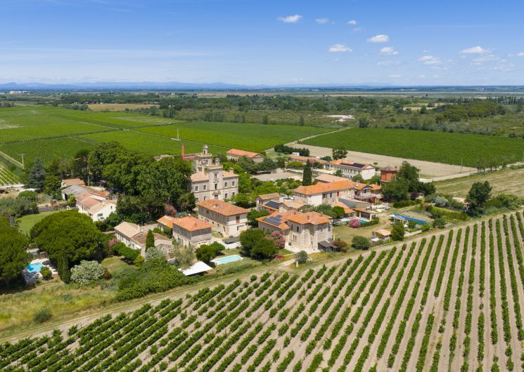 Domaine de Montcalm_Vauvert