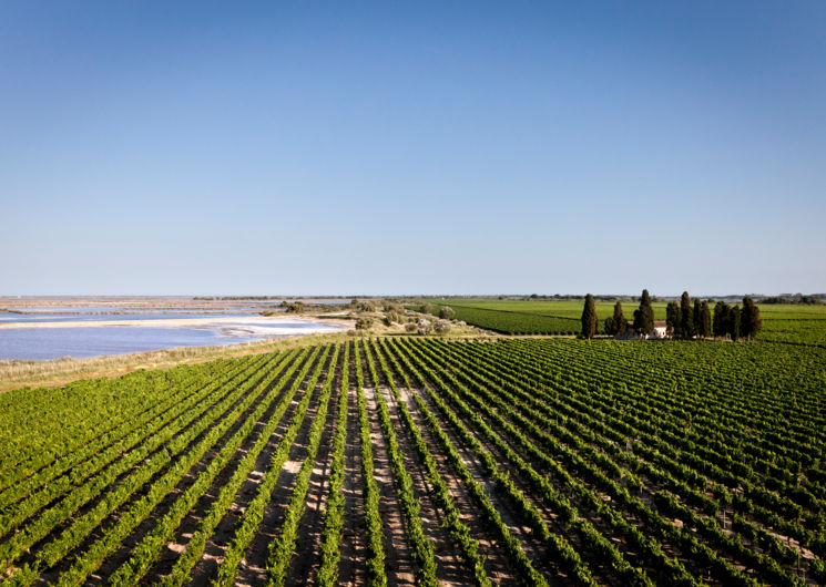 Domaine Royal de Jarras