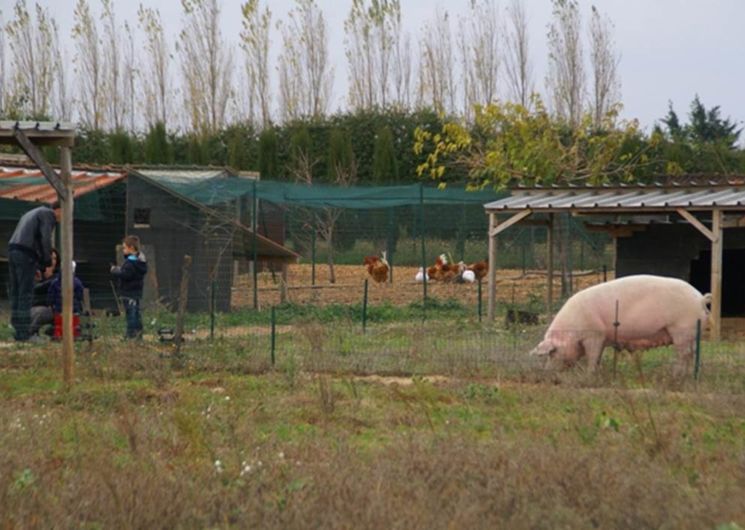 visite ferme