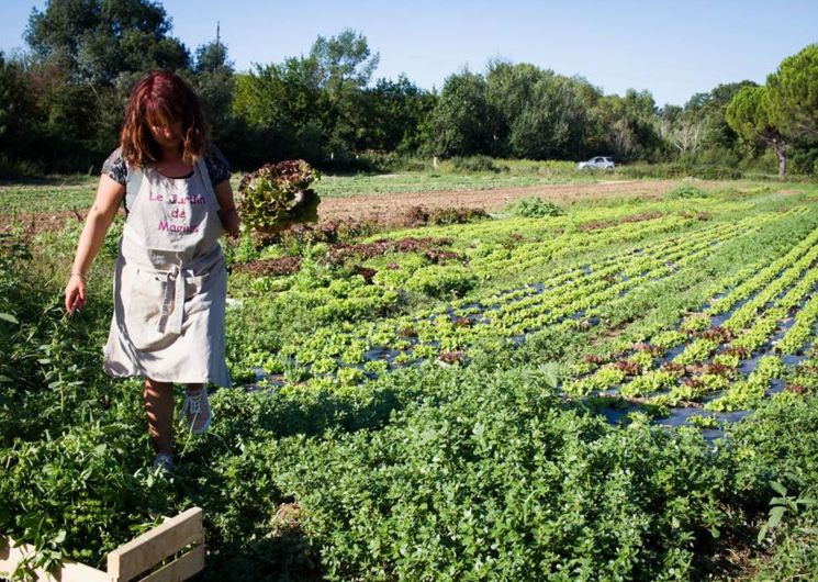 Le Jardin de Marius