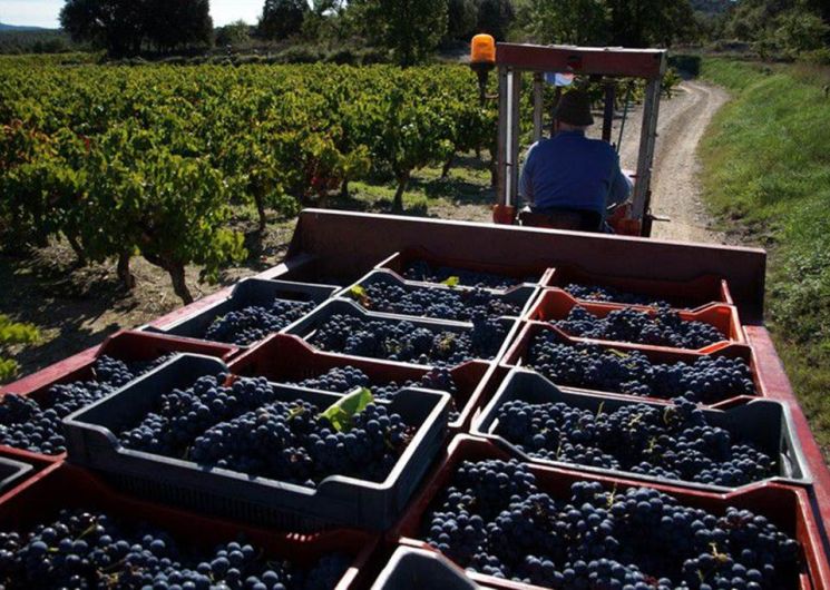 Domaine Grand'Terre