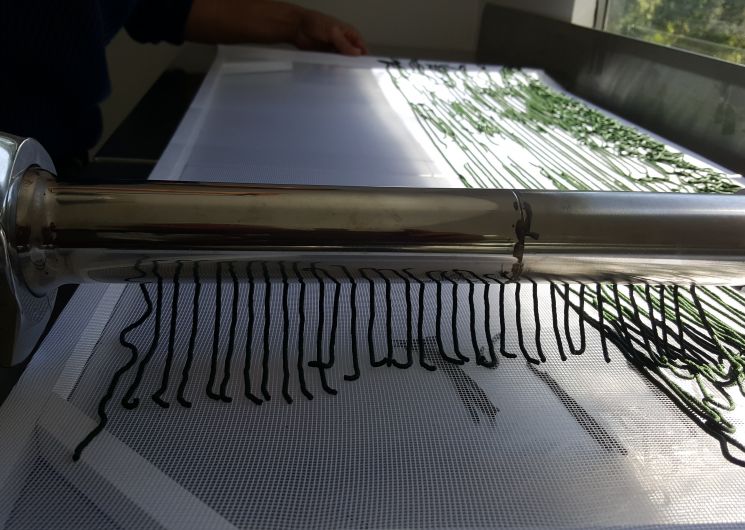 Spiruline De Ners - NERS