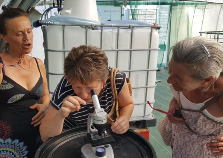 Spiruline De Ners - NERS