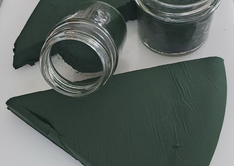 Spiruline fraîche 