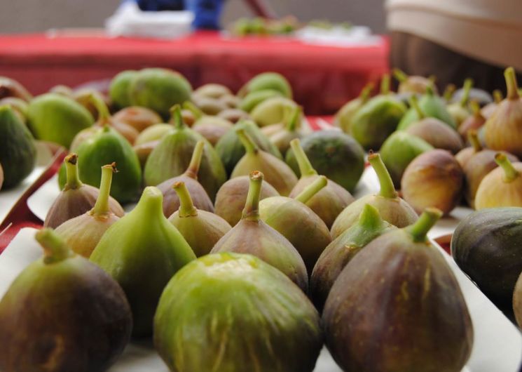 Figues