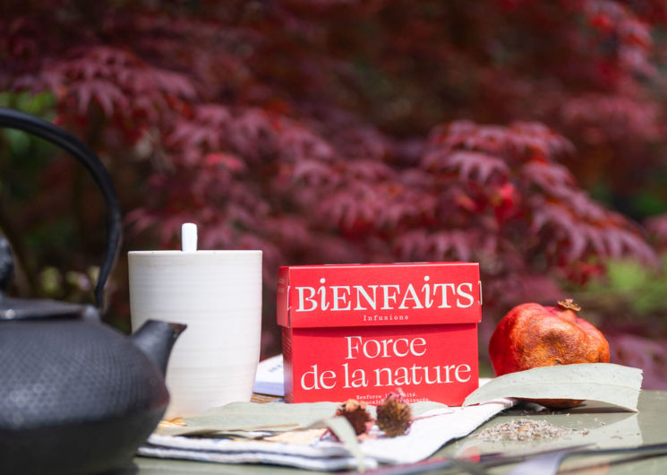 Bienfaits infusions – Plantes précieuses - Plantation SEVENE