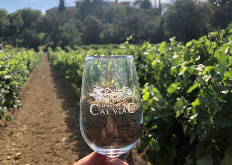 Domaine de Cauviac