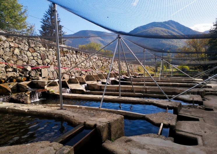 Bassins de la pisciculture Les Chutes d'Aston