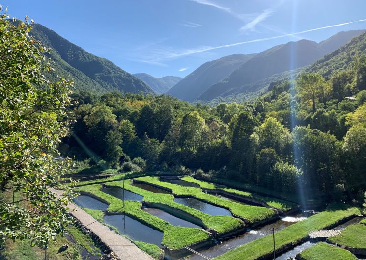 Vue plongeante de la pisciculture et son environnement