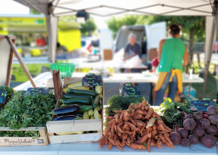 Maraîchage bio Molinié