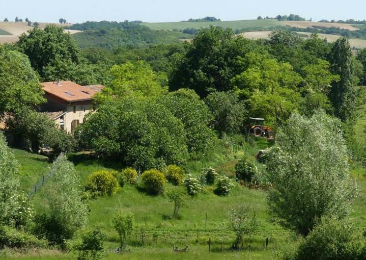 ferme les trois chardons