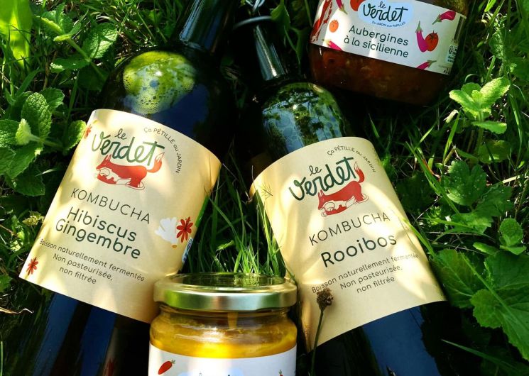 Le verdet, du jardin aux papilles_Cambounès