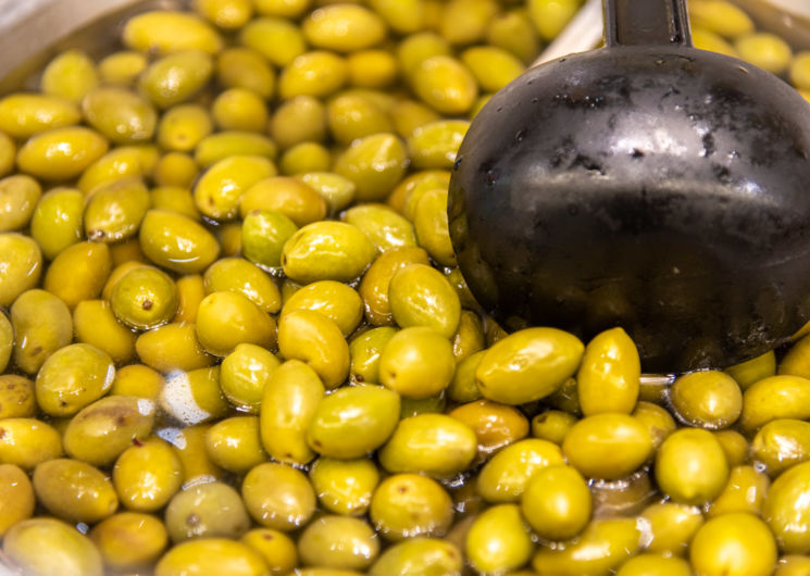 Les olivettes du pays de Nîmes