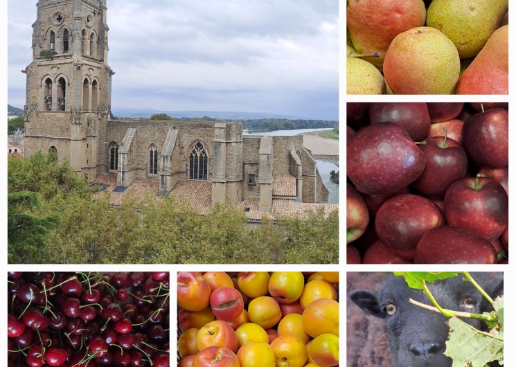Fruits de saison