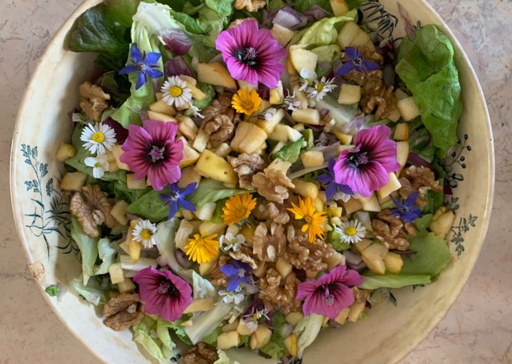 Salade de plantes sauvages