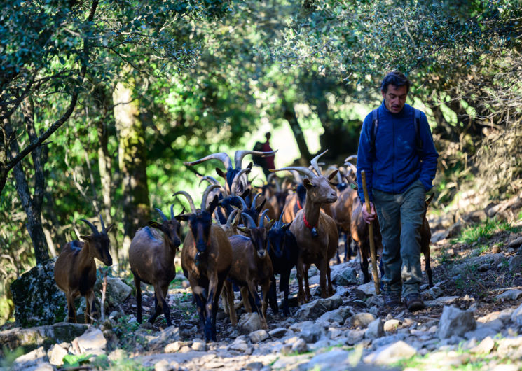 La Ferme de Bellis