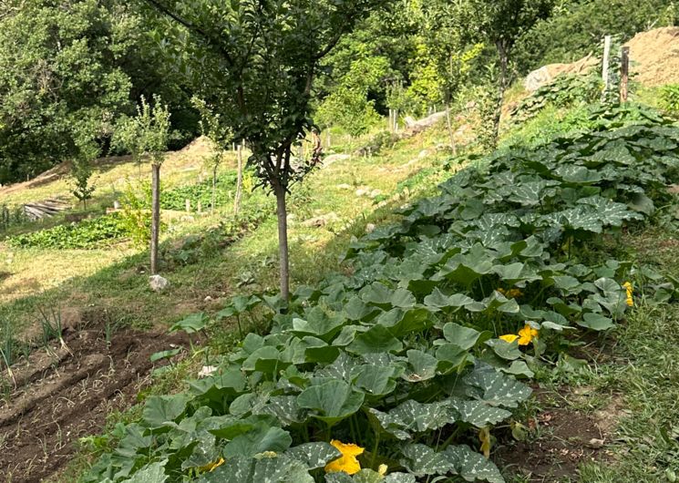 Les Jardins de Nouveau