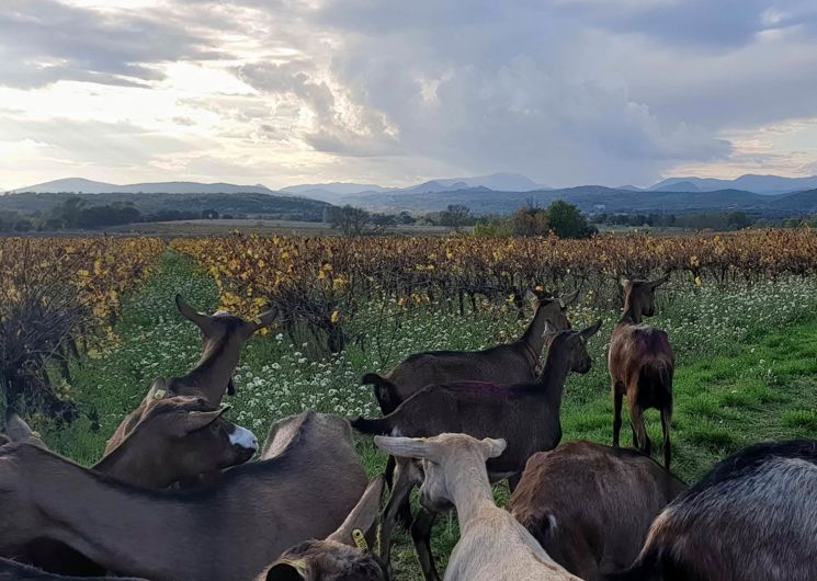 La ferme de Pélissou