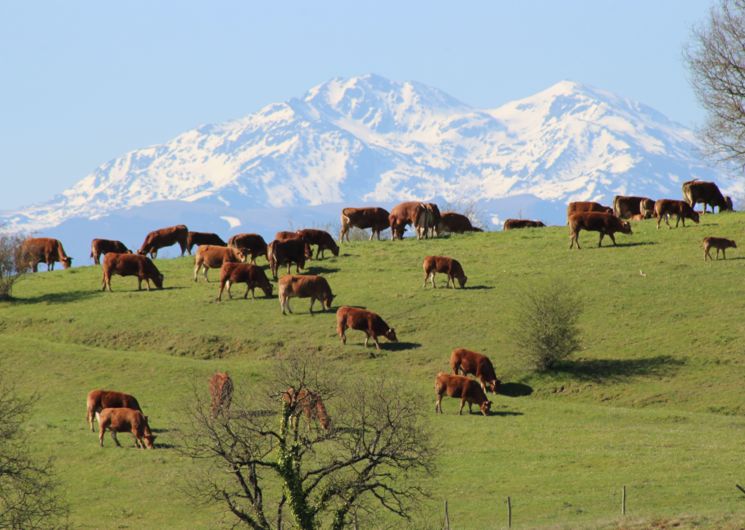 La Trille, vue depuis la maison