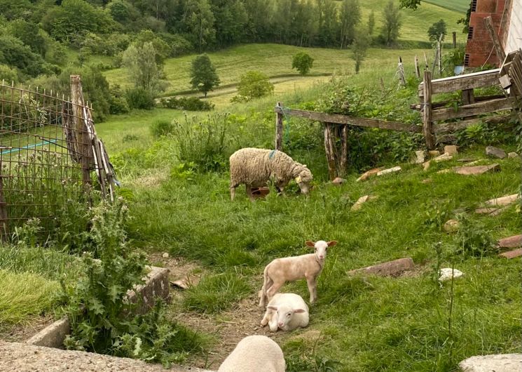 La Ferme Bio Duo