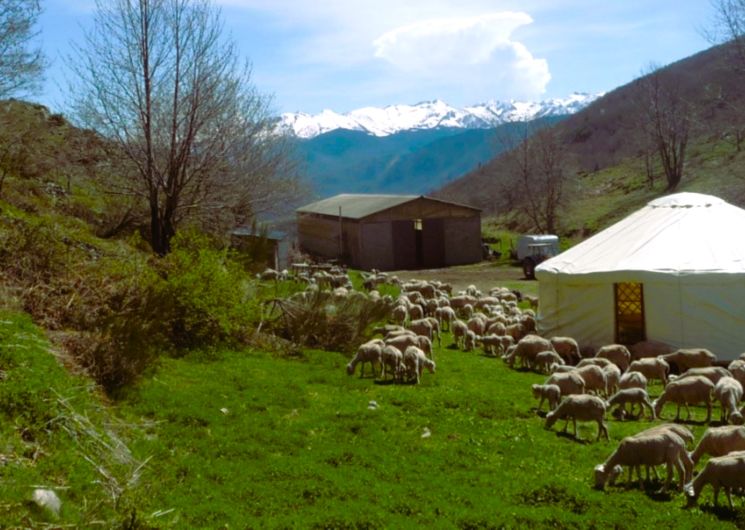 Ferme de Saladou