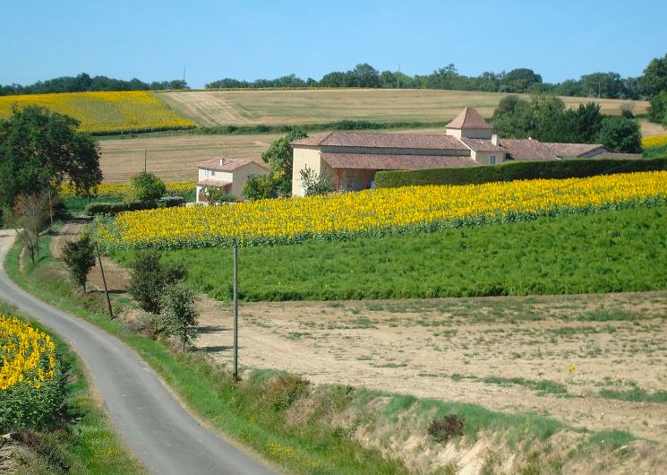 La Panacée Bio - Ferme