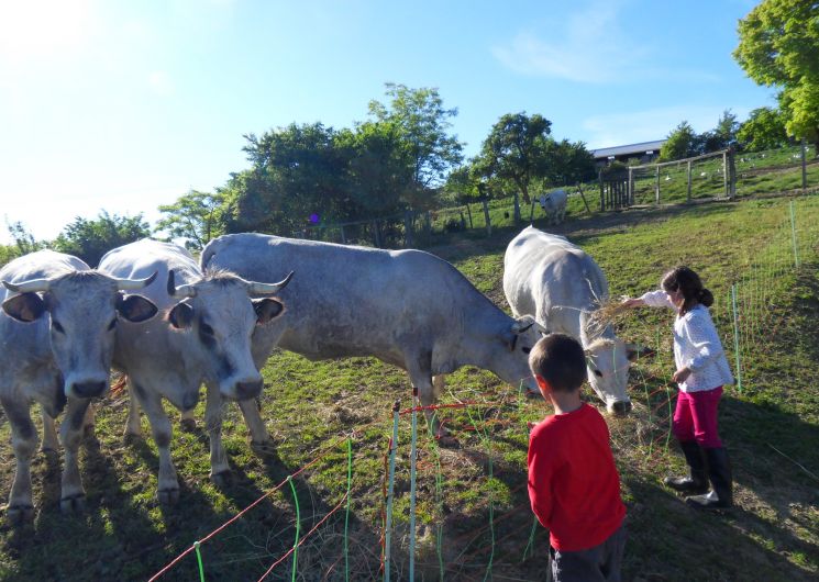 Farm of Baylac_Lartigue