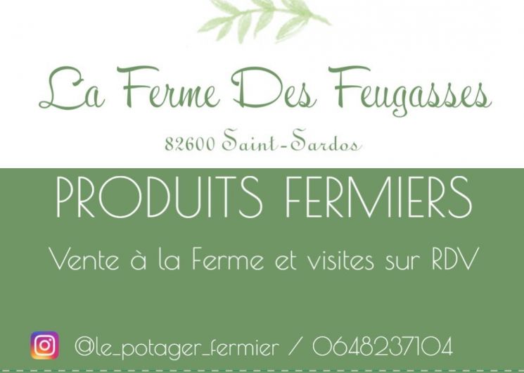 La Ferme des Feugasses_Saint-Sardos